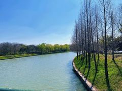 -同里国家湿地公园
