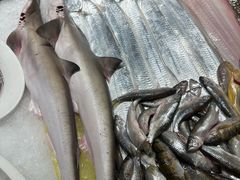 鲨鱼-健眺小海鲜(临海后山店)