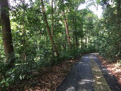 -武吉知马自然保护区