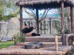 -上海野生动物园