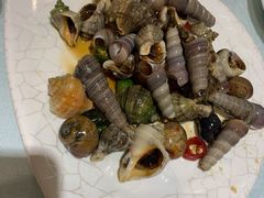 捞汁海螺-小船渔村•大连菜•大连焖鱼(明泽街店)