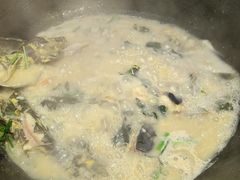 -贺庄·活鱼馆(珠吉路店)