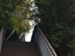 -三圣花乡旅游区