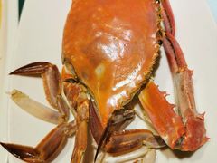 清蒸梭子蟹-高佳庄·舟山海鲜(海景旗舰店)