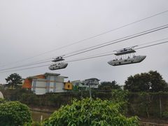 -百万葵园