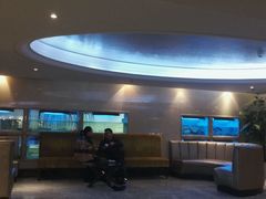 -小天鹅戴斯酒店鲸鲨百汇创作料理
