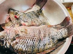 -草墩罗非鱼庄•野生菌•腊排骨(七星街上段店)