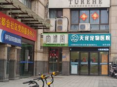 -天宠宠物医院24小时·急重症诊疗中心·全科·腔镜特色(和平分院)