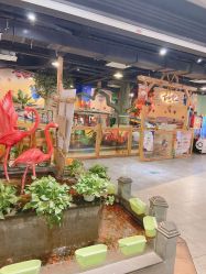 -卡通尼·Safari非洲探索乐园·生日会(金桥国际商业广场店)