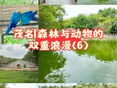 -广东茂名森林公园
