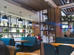 -三猫黑鱼花(南大店)