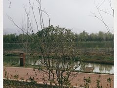 -洨河生态公园