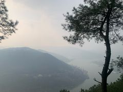 -铁山坪森林公园