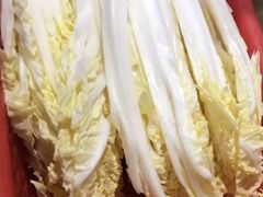 娃娃菜-顺德哥卜卜贝(旗舰店)