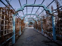 -伊犁老城喀赞其民俗旅游区