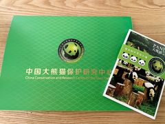 -都江堰中华大熊猫苑