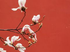 -东华门大街小区