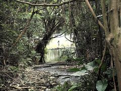 -燕晗山郊野公园