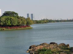 -顺峰山公园