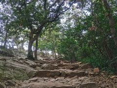-紫金山山顶公园