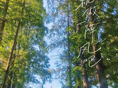 -金岛生态园烧烤露营地