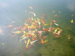 景点-湖光岩风景区