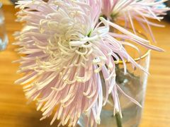 -山茶云南菜(永安里店)