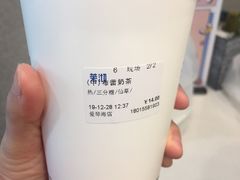 -茉沏(尹山湖歌林公园店)