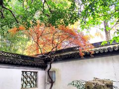 -秋霞圃