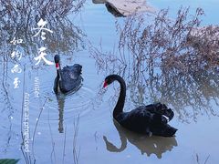 -广州市帽峰山景区
