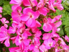 -泉乐坊步行街(烟酒特产平价超市店)