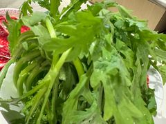 -陈记顺和潮汕牛肉火锅(番禺迎宾大道店)