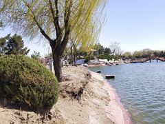 -通辽森林公园