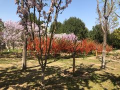 -大兴滨河森林公园