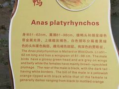 -东寨港红树林旅游区