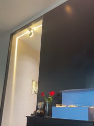 点击看大图 -玛莲朵·海菲秀冰珀科