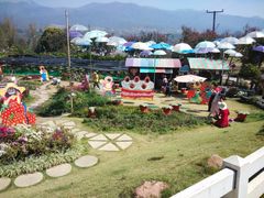 -黄色小屋