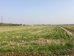 -嘉北郊野公园