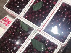 -菜园坝水果市场