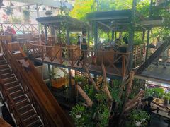 -Rainforest