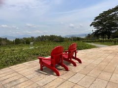 -深圳湾公园(南山区)
