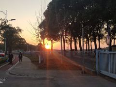 -上海月湖雕塑公园