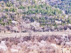 -居庸关长城