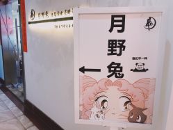 点击看大图 -月野兔日式美睫美甲