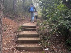 -青龙山国家森林公园
