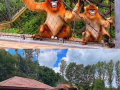 -哈尔滨北方森林动物园