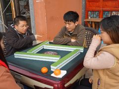 -铁山坪森林公园