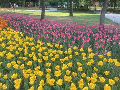 -长春公园(普阳街道)