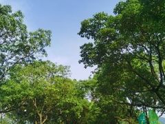 -东钱湖小普陀景区