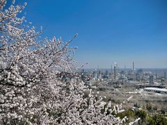 -白水寺森林公园
